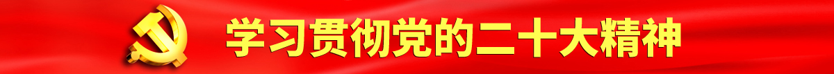 东北大哥大鸡巴操逼逼认真学习贯彻落实党的二十大会议精神